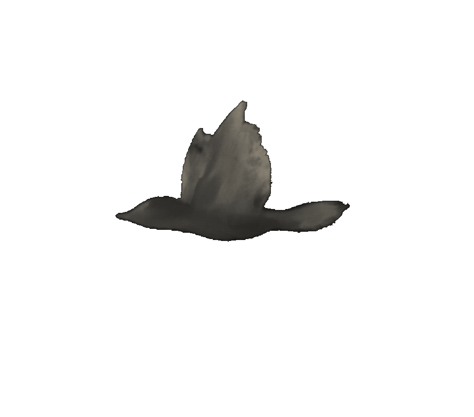 Flying Bird